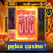 pelaa casino