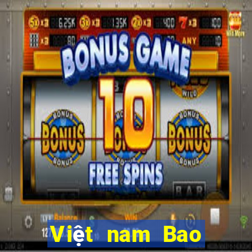 Việt nam Bao Ying Description