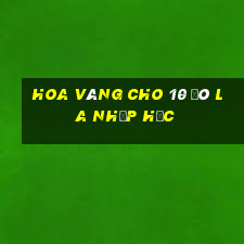 Hoa vàng cho 10 đô la nhập học