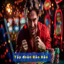 Tập đoàn Bảo Bảo