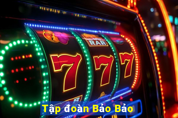 Tập đoàn Bảo Bảo