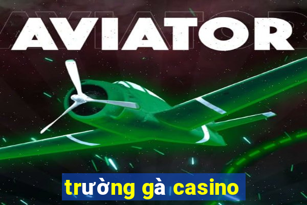 trường gà casino