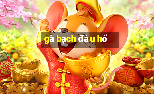 gà bạch đầu hổ