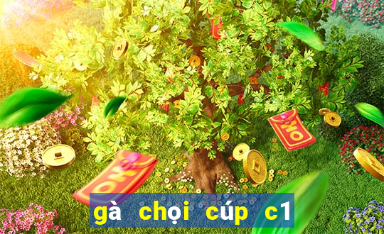 gà chọi cúp c1 châu âu