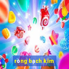 rồng bạch kim