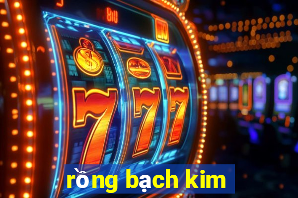 rồng bạch kim