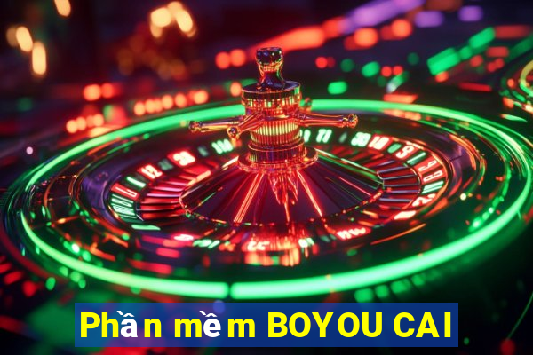 Phần mềm BOYOU CAI