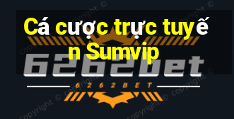 Cá cược trực tuyến Sumvip