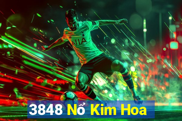 3848 Nổ Kim Hoa