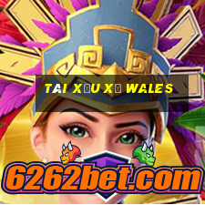 tài xỉu xứ wales