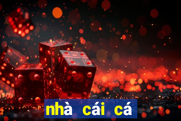 nhà cái cá cược vnloto.com