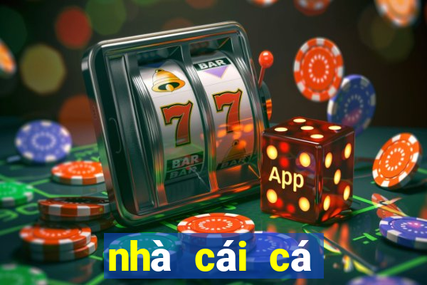 nhà cái cá cược vnloto.com