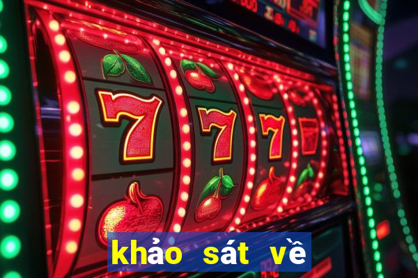 khảo sát về dịch vụ công