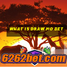 what is draw no bet