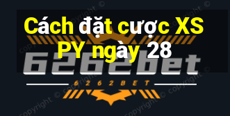 Cách đặt cược XSPY ngày 28