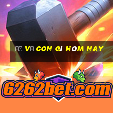 đề về con gì hôm nay