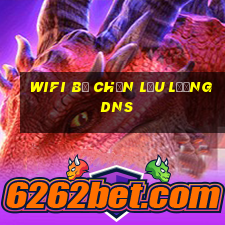 wifi bị chặn lưu lượng dns