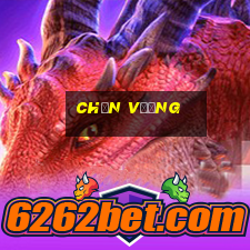 chắn vương