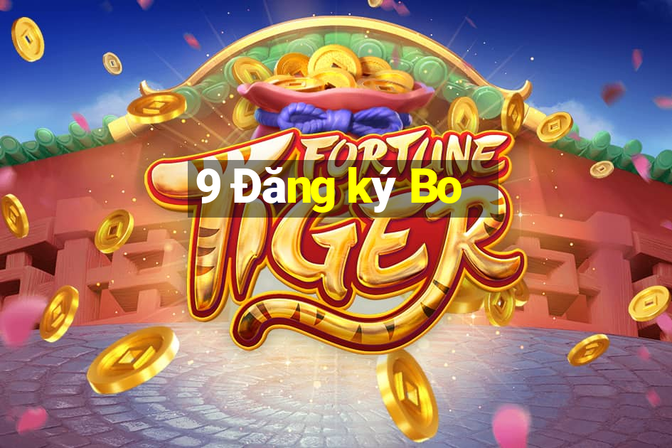 9 Đăng ký Bo