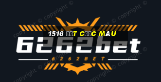 1516 đặt cược màu