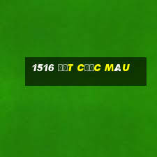 1516 đặt cược màu