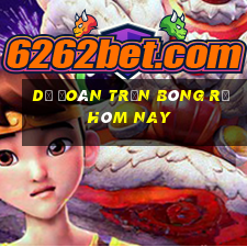 Dự đoán trận bóng rổ hôm nay