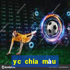 yc chia màu đăng ký