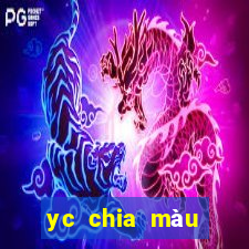 yc chia màu đăng ký