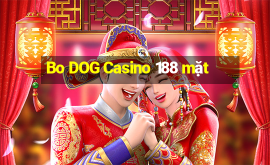 Bo DOG Casino 188 mặt