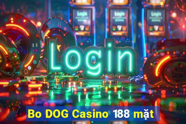 Bo DOG Casino 188 mặt