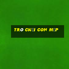 trò chơi con mập