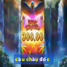 cầu châu đốc