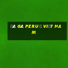 đá gà peru ở việt nam