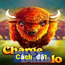 Cách đặt cược XSTB ngày 10