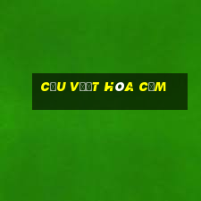 cầu vượt hòa cầm