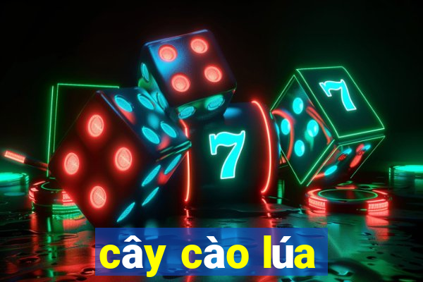 cây cào lúa