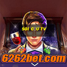 soi cầu tv