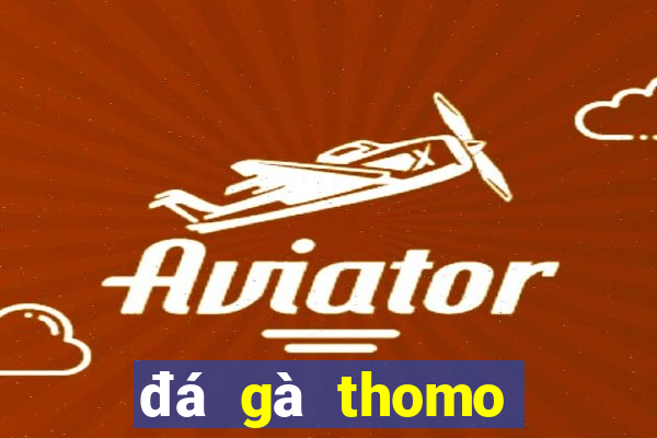 đá gà thomo trực tiếp 6 tây