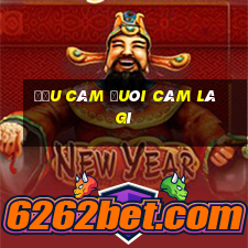 đầu câm đuôi câm là gì