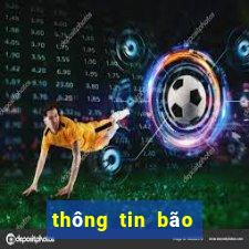 thông tin bão số 1