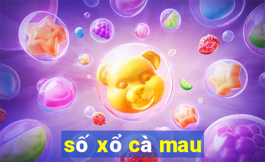 so xo ca mau