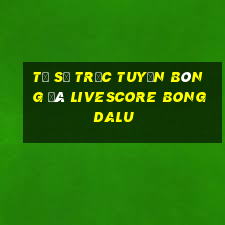 tỷ số trực tuyến bóng đá livescore bongdalu