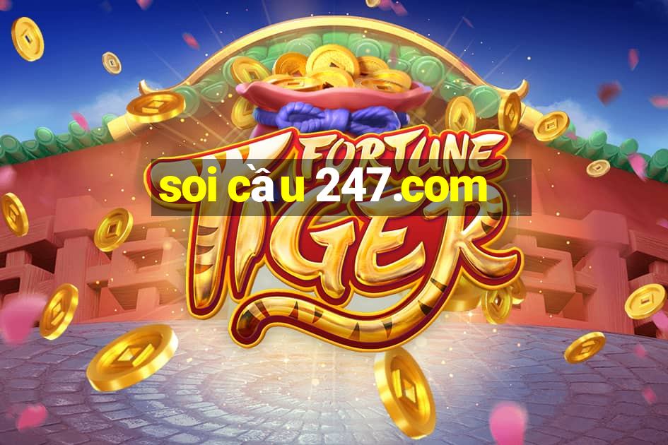 soi cầu 247.com