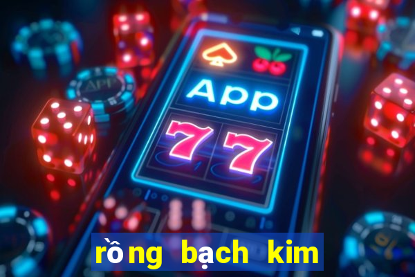 rồng bạch kim miền bắc hôm nay