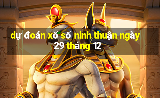 dự đoán xổ số ninh thuận ngày 29 tháng 12