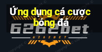 Ứng dụng cá cược bóng đá