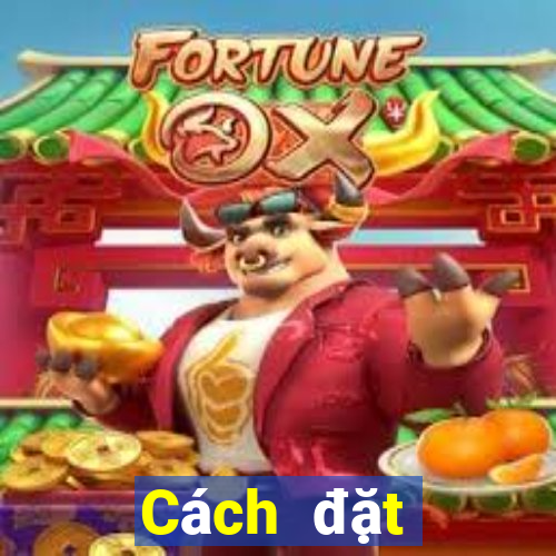 Cách đặt cược XSST ngày 12