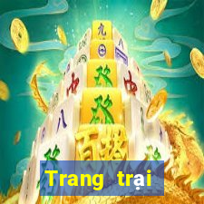 Trang trại điện tử DT