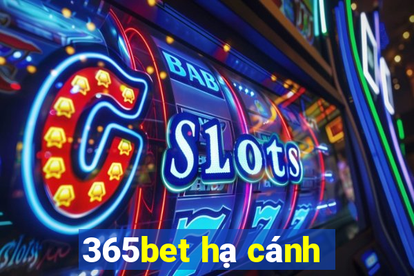 365bet hạ cánh