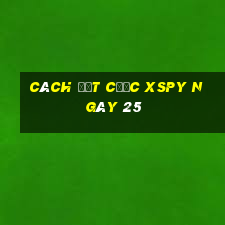 Cách đặt cược XSPY ngày 25